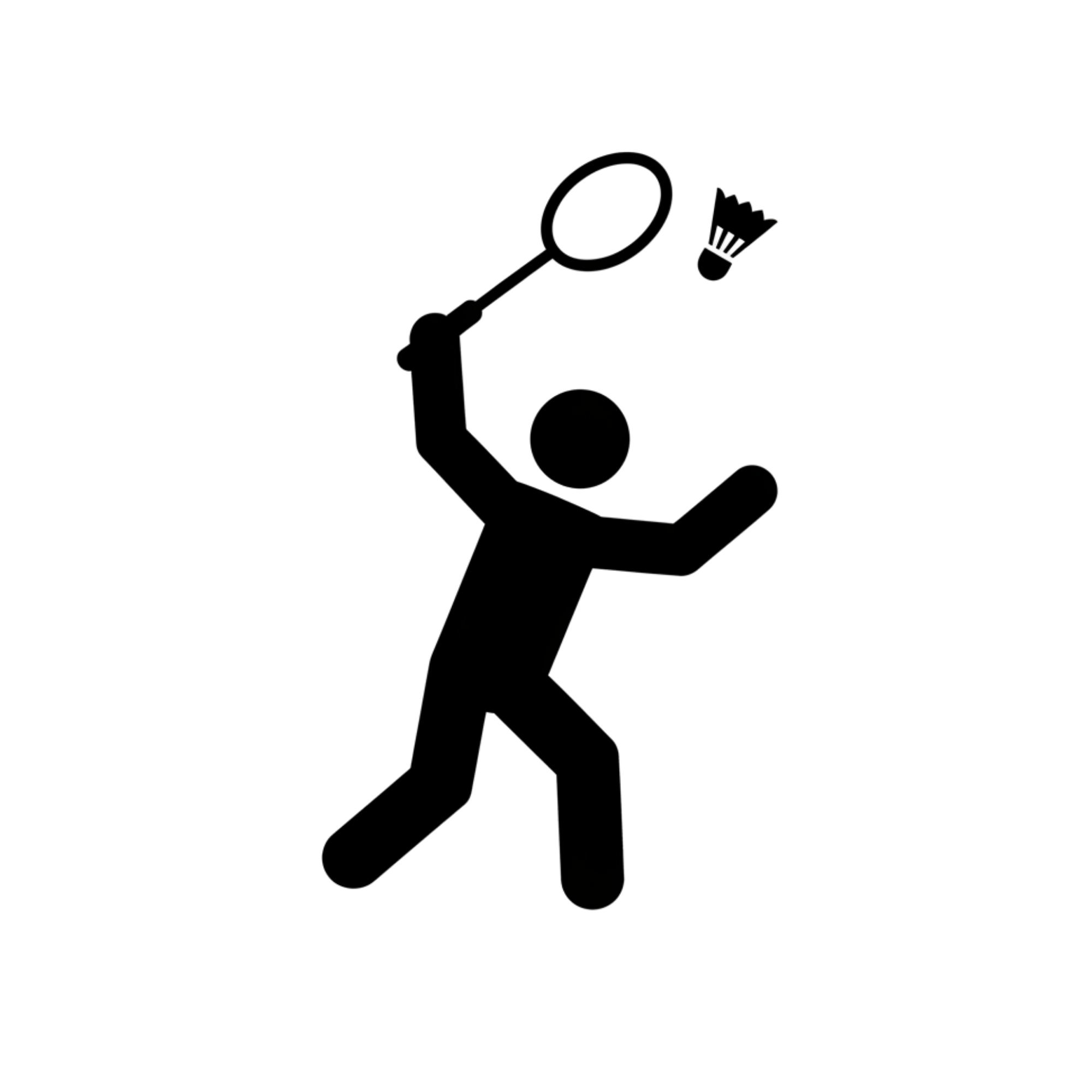 Badminton
